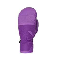 Ski Gloves