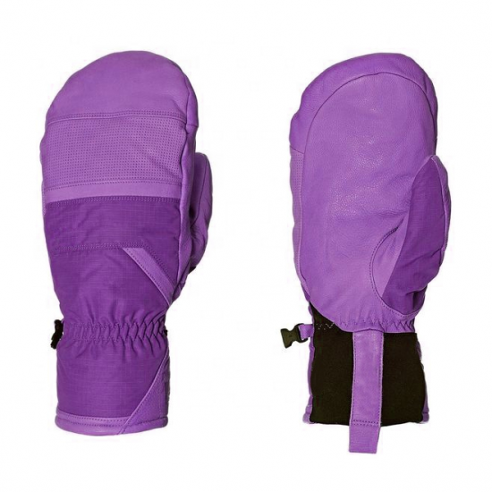 Ski Gloves