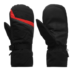 Ski Gloves