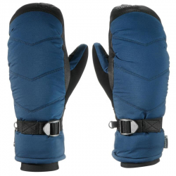 Ski Gloves
