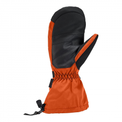 Ski Gloves